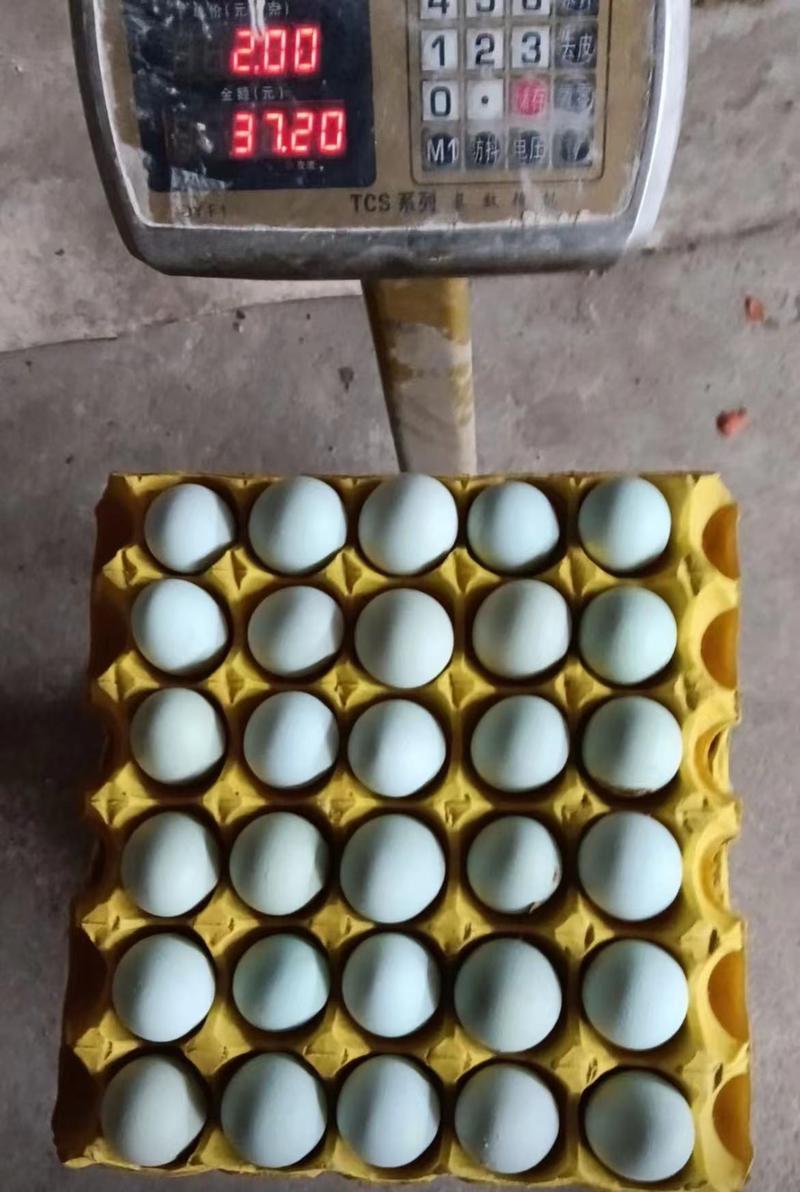 湖北精品土鸡蛋鲜鸡蛋，价格真实，规格齐全欢迎选购