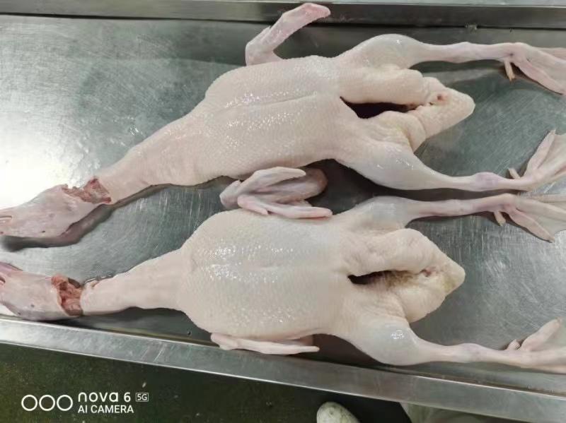 白条全鸭传统烤鸭卤鸭冻品规格齐全全国发货物流冷链配送