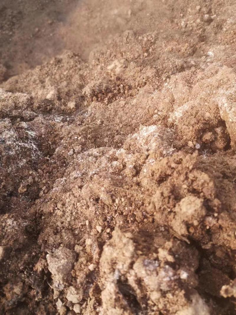 发酵纯羊粪，含有多种有益微生物，解磷解钾，增加土壤肥效。