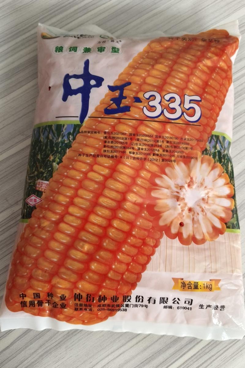 青储玉米种子营养好品质高生物产量达8500公斤青饲