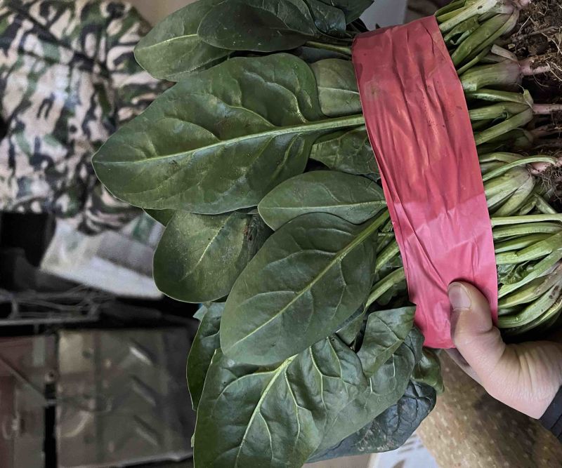大量有货价格便宜