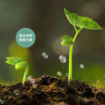 供应大量草木灰,适用多种场景，大棚种植，园林绿化