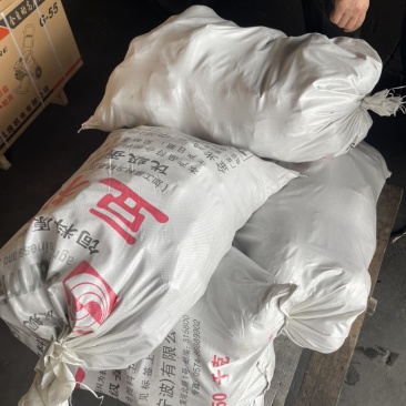 自家种植宁波奉化红牙芋还有几十亩