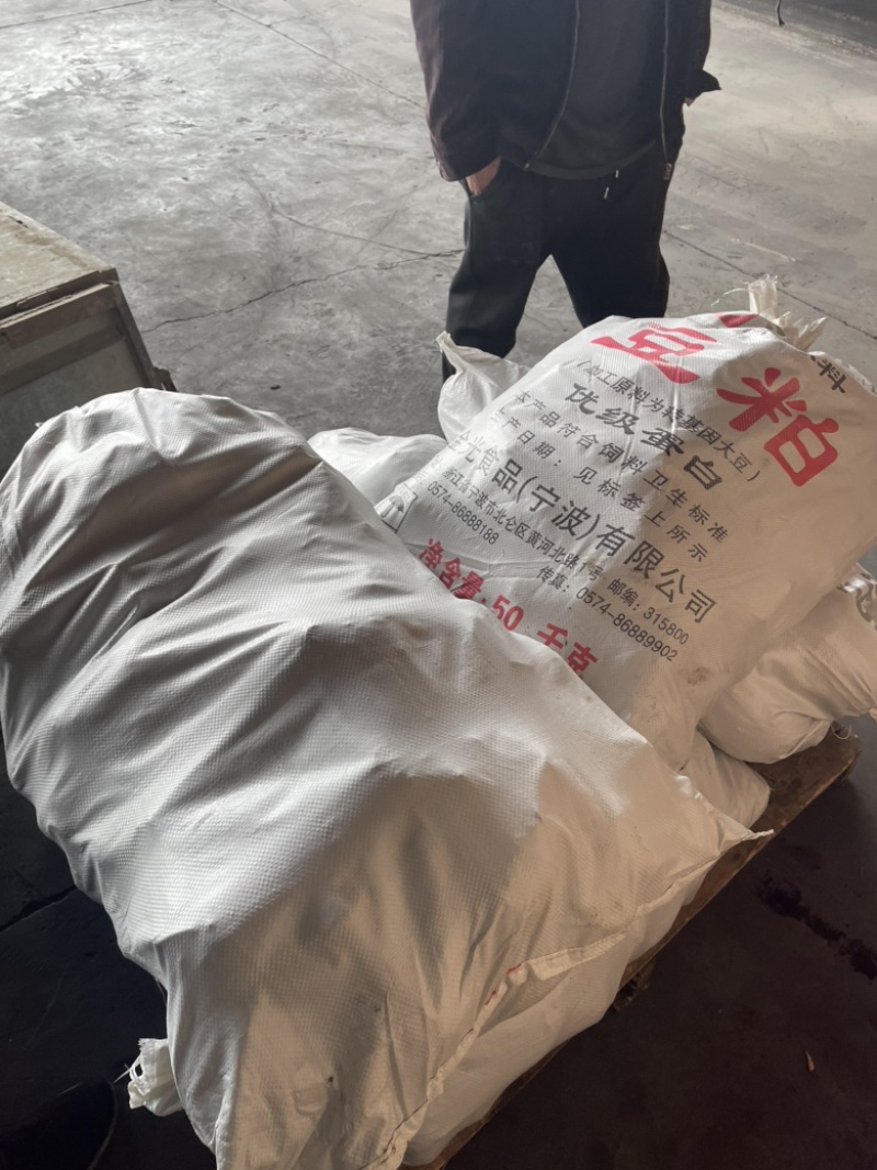 自家种植宁波奉化红牙芋还有几十亩