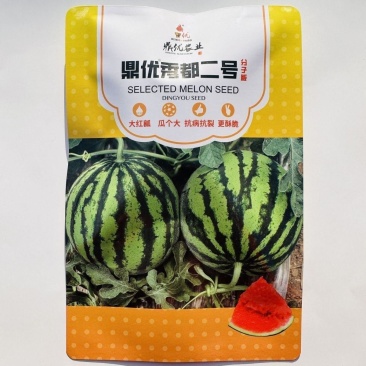 鼎优秀都二号西瓜种子中早熟麒麟西瓜种大红瓤瓜个大抗