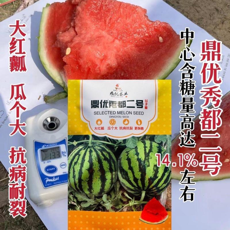 鼎优秀都二号西瓜种子中早熟麒麟西瓜种大红瓤瓜个大抗