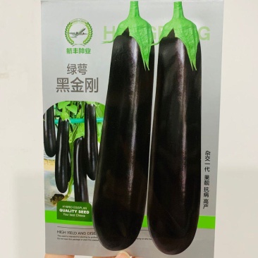 航丰种业黑金刚茄子种子绿把绿萼果肉白色果型顺直墨黑色茄子