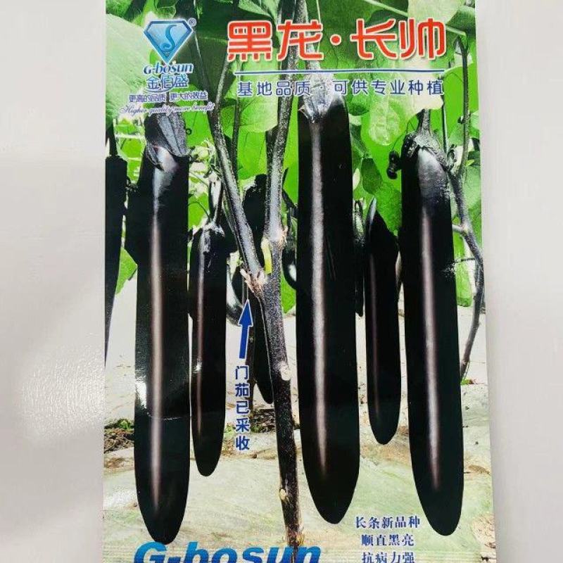 航丰种业黑金刚茄子种子绿把绿萼果肉白色果型顺直墨黑色茄子