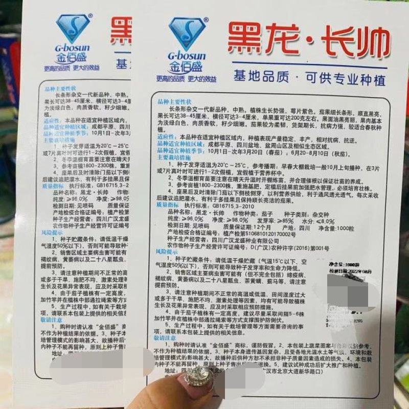航丰种业黑金刚茄子种子绿把绿萼果肉白色果型顺直墨黑色茄子