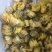 菊花，北京菊，泡茶，关书药业批发中药材规格齐全……………