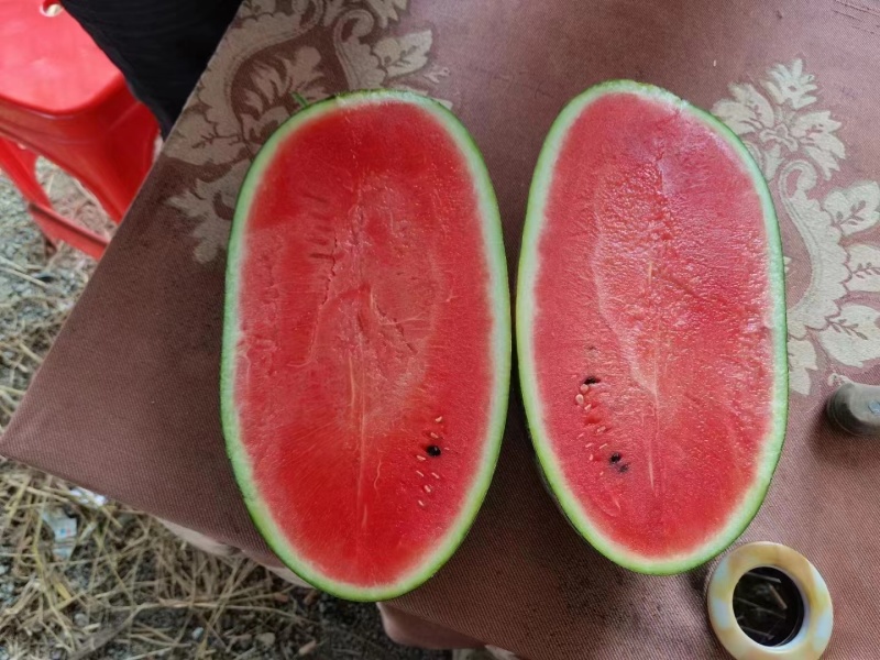 广西西瓜大量上市