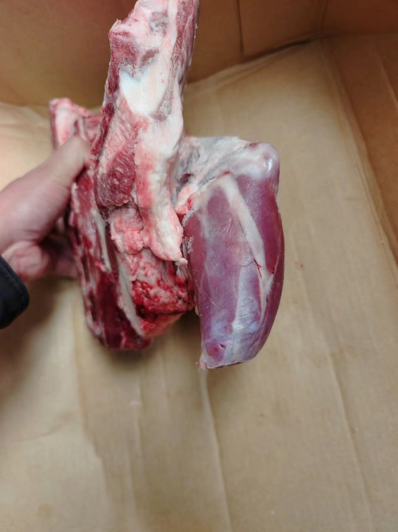 羊四分体很鲜！解冻后直接可代替鲜品，可吊挂分割，质量超