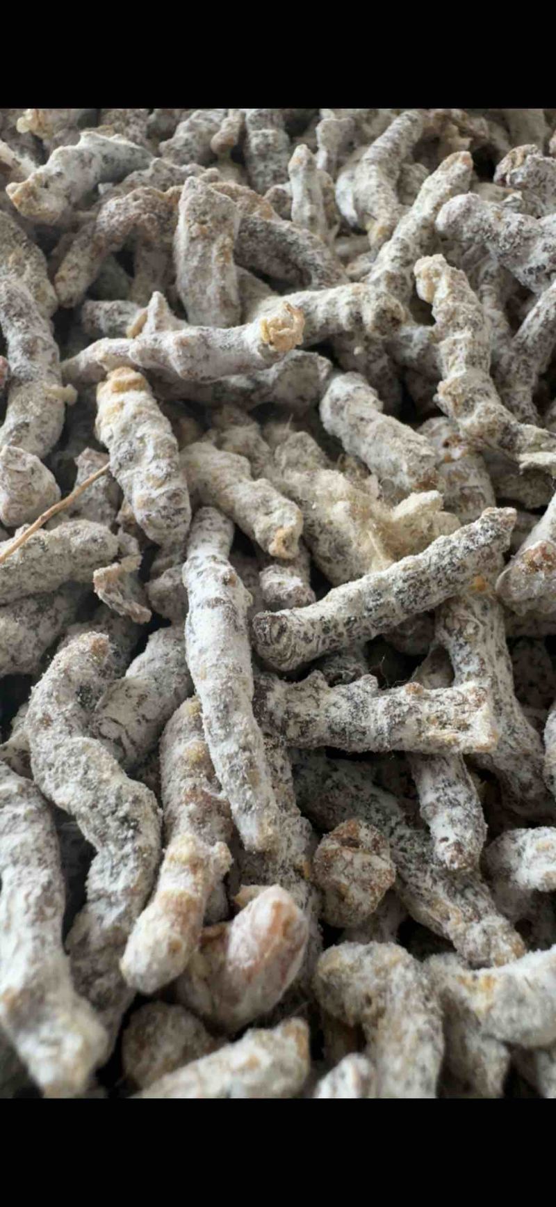 僵蚕，山东弘舜中药材批发商行批发零售各种中药材…………