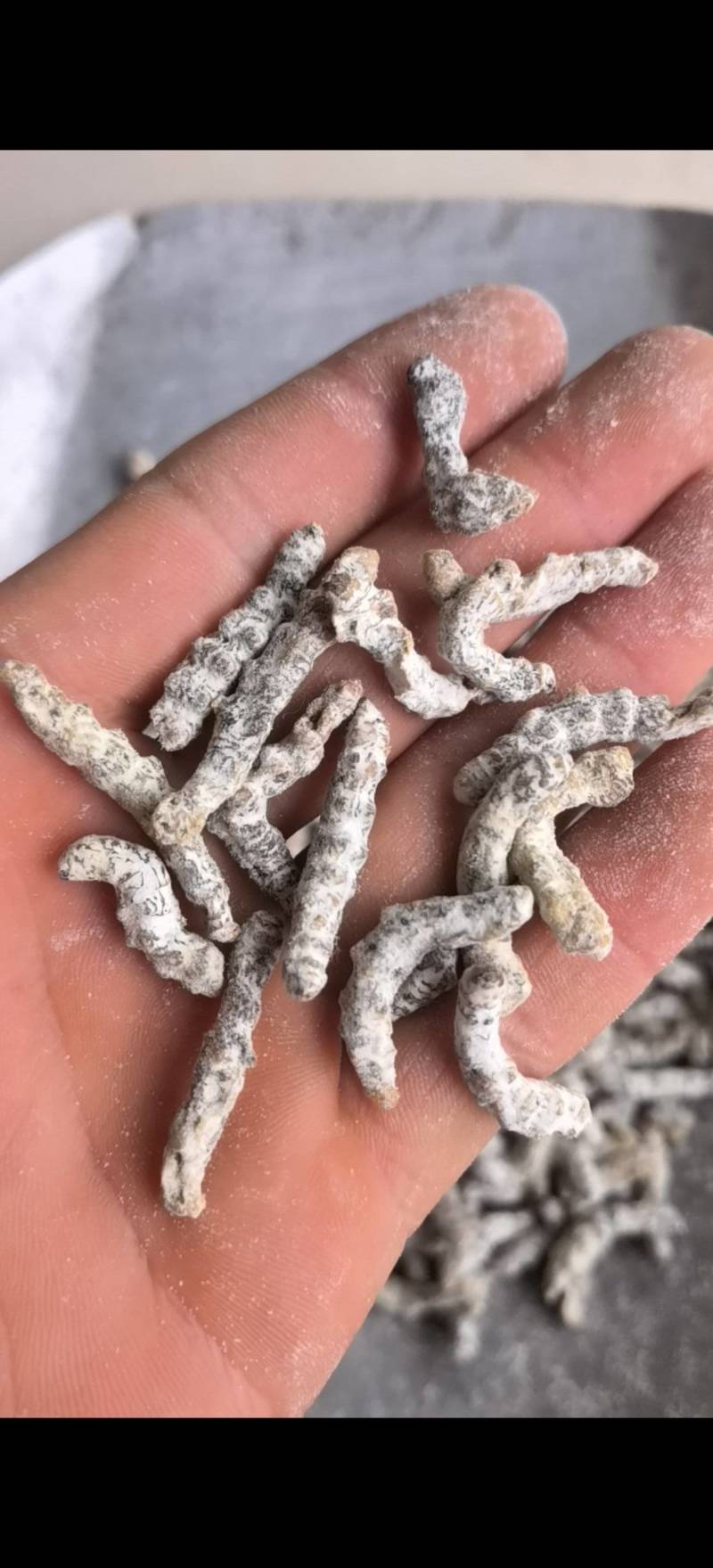 僵蚕，白僵蚕，过筛，关书药业，，批发各种规格中药材