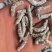 僵蚕，白僵蚕，过筛，关书药业，，批发各种规格中药材