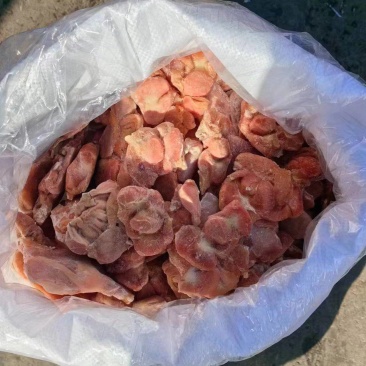公鸡净胗单个25克左右