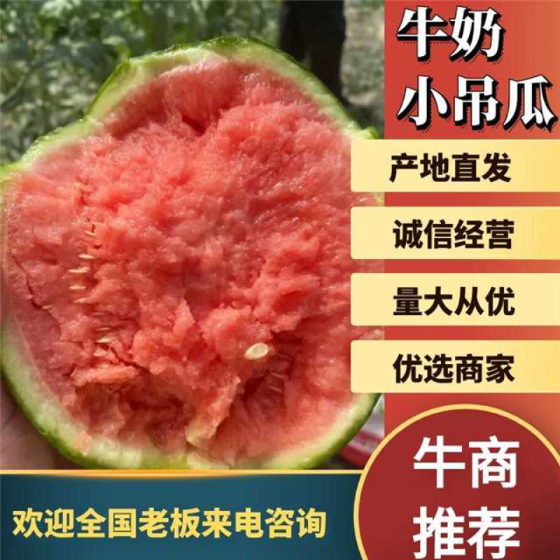 牛奶《小吊瓜》2026年陆续上市，以质论价！