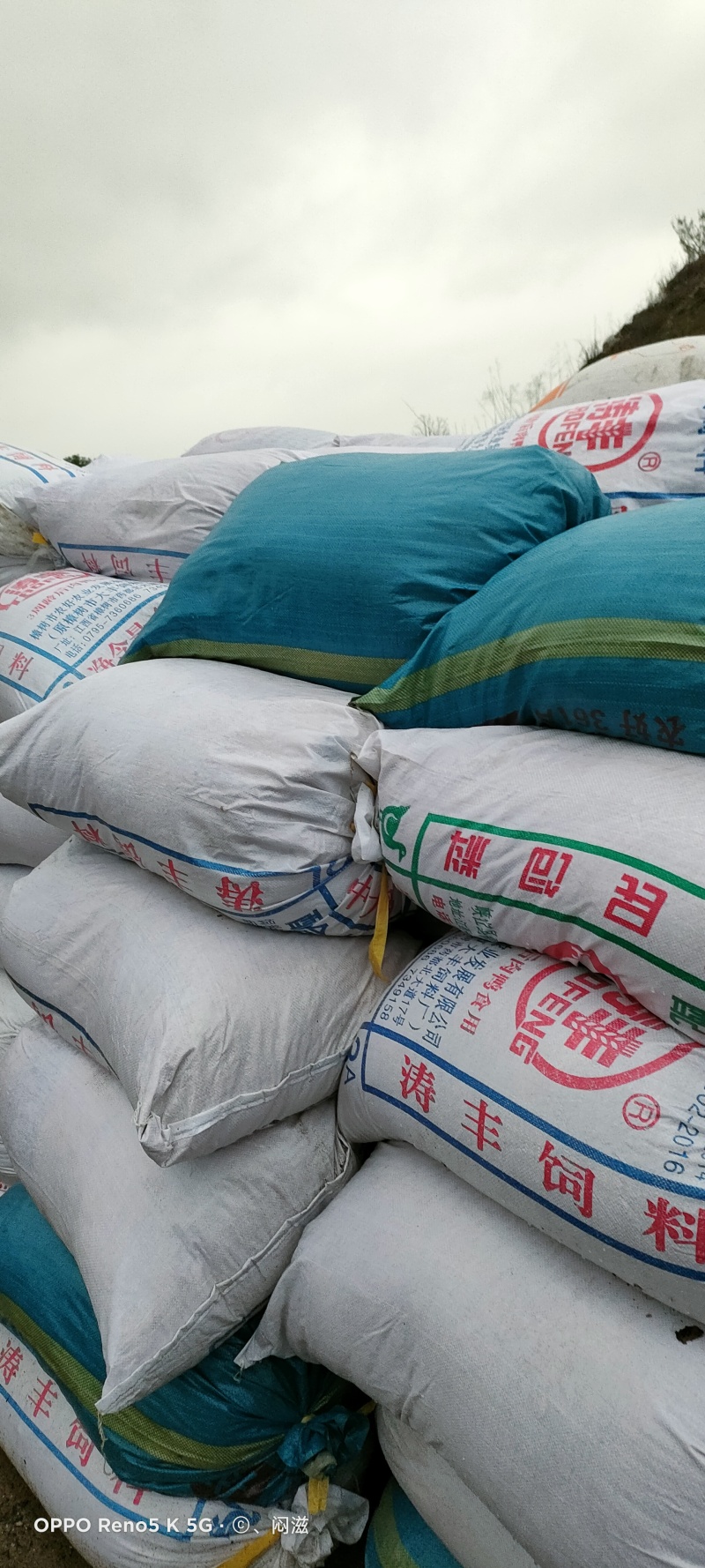 杂木屑锯粉食用菌栽培基质长年供应欢迎进店选购电联