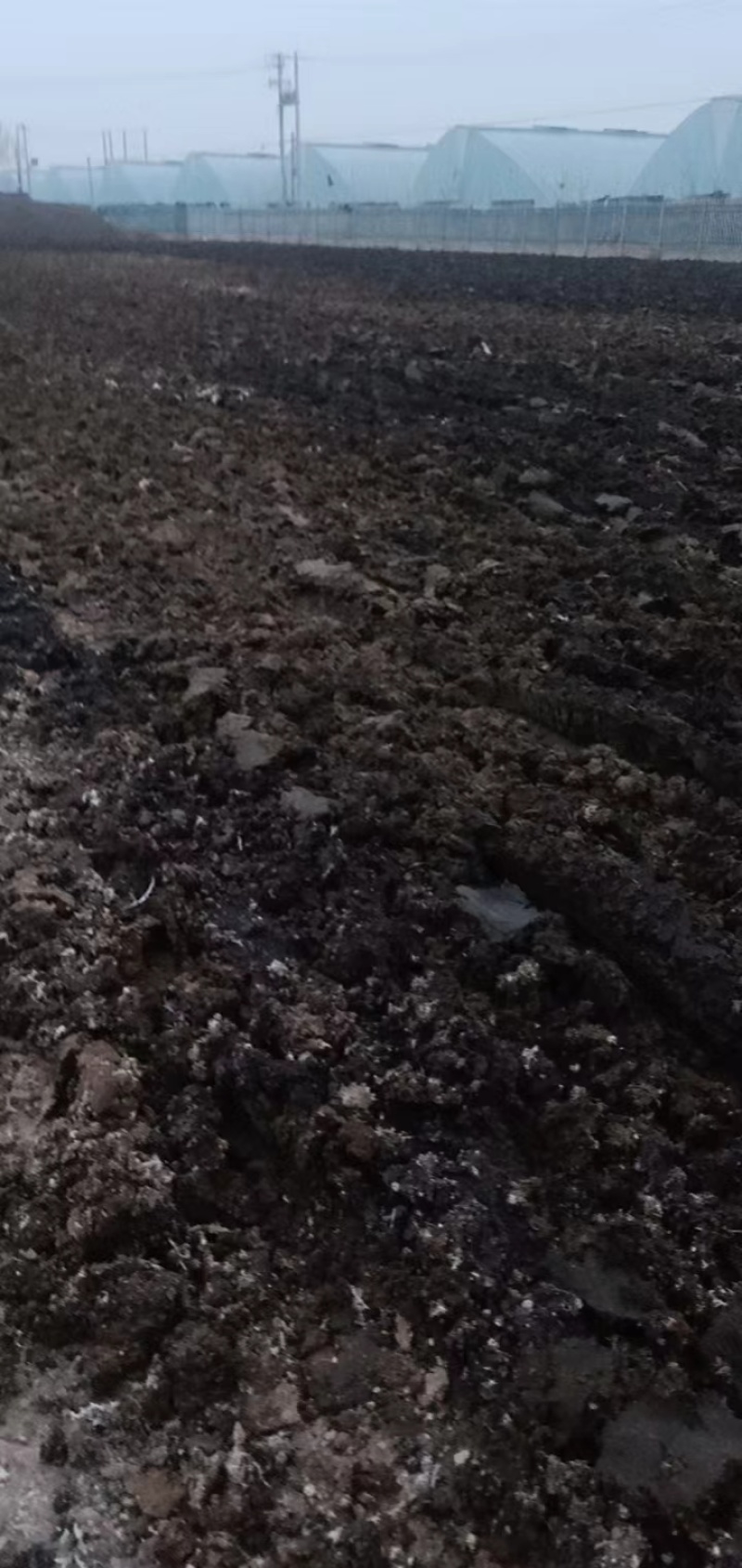 发酵腐熟鸡粪，源头直发，品质保证，可视频看货欢迎电联