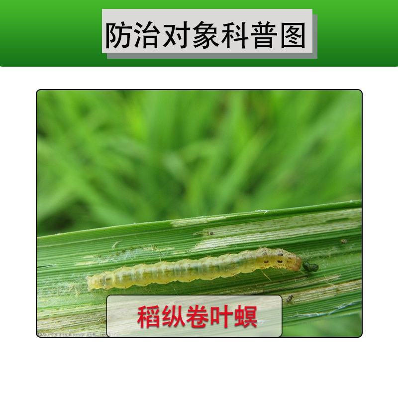 绿德地氯虫苯甲酰胺甲维盐杀虫剂高含量毛毛虫卷叶螟菜青虫
