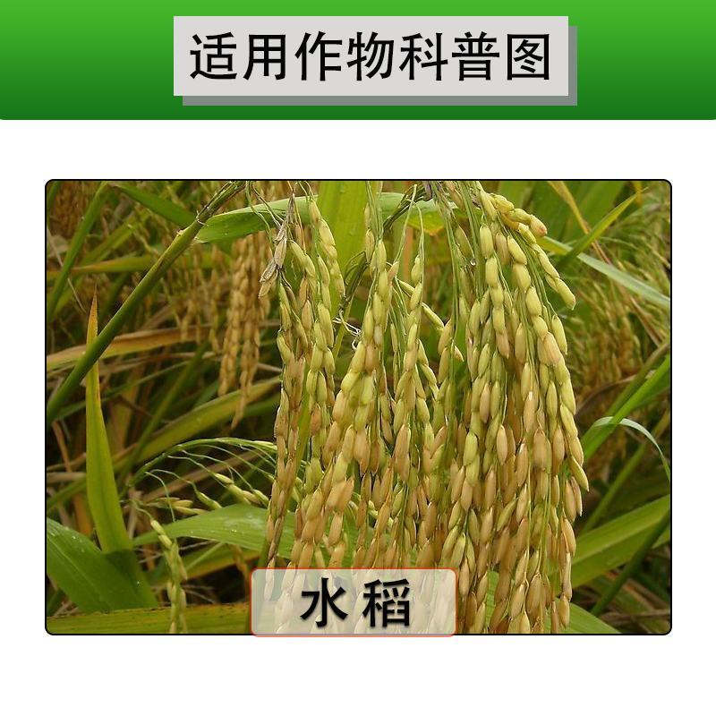 绿德地氯虫苯甲酰胺甲维盐杀虫剂高含量毛毛虫卷叶螟菜青虫