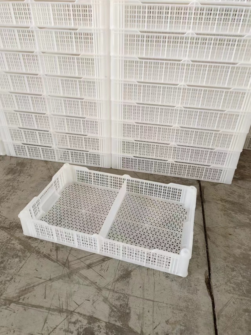 精品蓝莓框水果框量大从优一手货源质量保证欢迎咨询
