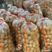 荷兰十五土豆鲜土豆沙土高品质保证价格优供应全国档口商超