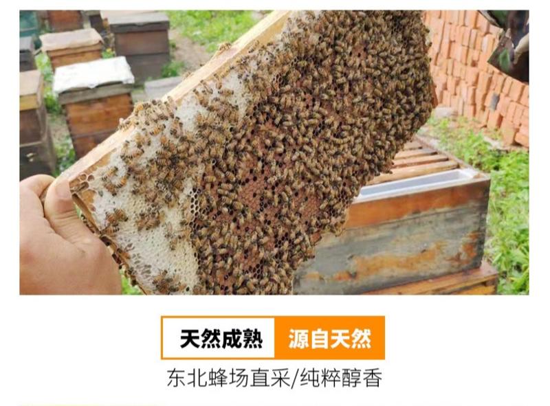 虎峰岭原产蜂蜜东北百花蜂蜜代工500g量大现货OEM