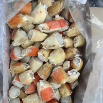 玉蟹爪大量有货价格质量保证欢迎捞汁海鲜