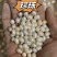 珍珠药用珍珠淡水珍珠实拍有实拍视频保庆药业