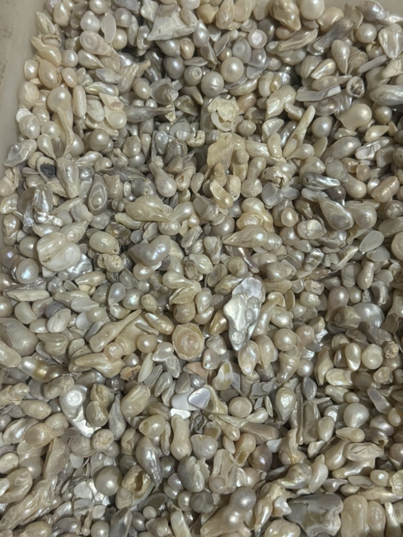 珍珠药用珍珠淡水珍珠实拍有实拍视频保庆药业