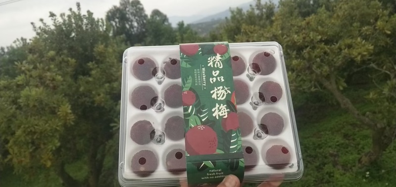【一件代发】云南石屏杨梅专业一件代发市场供应代办