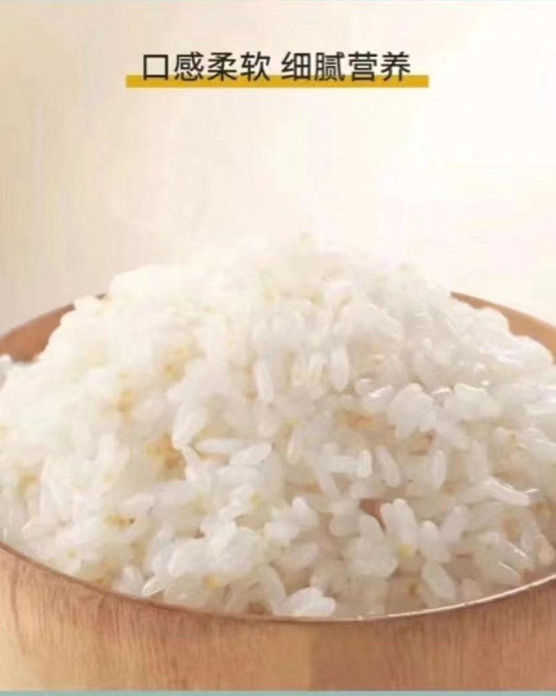 【推荐】优质畈好吃原浆米产地工厂直发一手货源欢迎采购