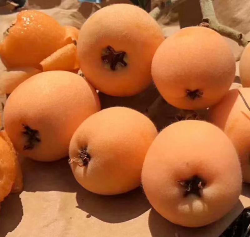 四川汉源甘平柑橘大量供应，皮薄多汁，欢迎咨询，量大从优