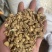 防风防风过筛保庆药业批发防风实物拍摄新货防风