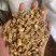 防风防风过筛保庆药业批发防风实物拍摄新货防风