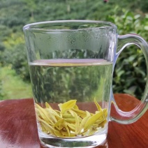 高山绿茶