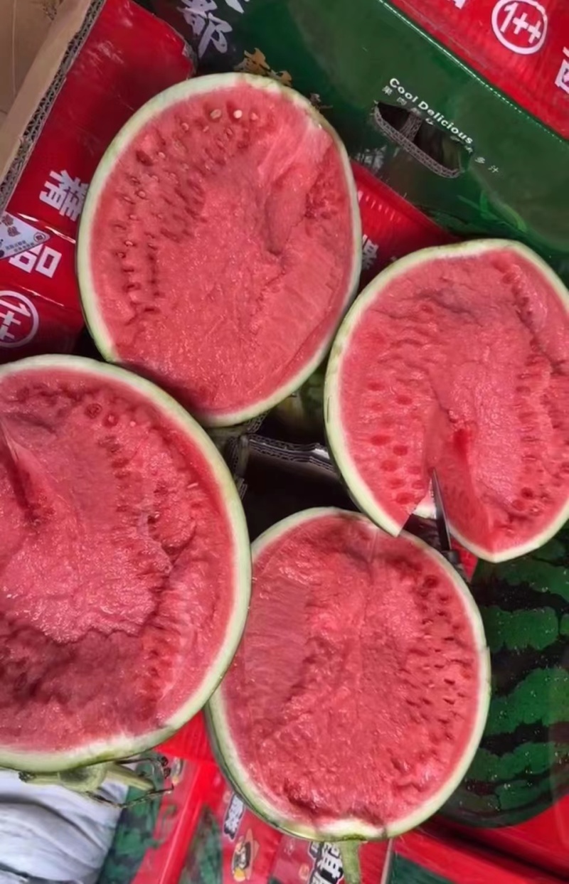 精品西瓜美都西瓜对接全国量大从优质量保证欢迎咨询