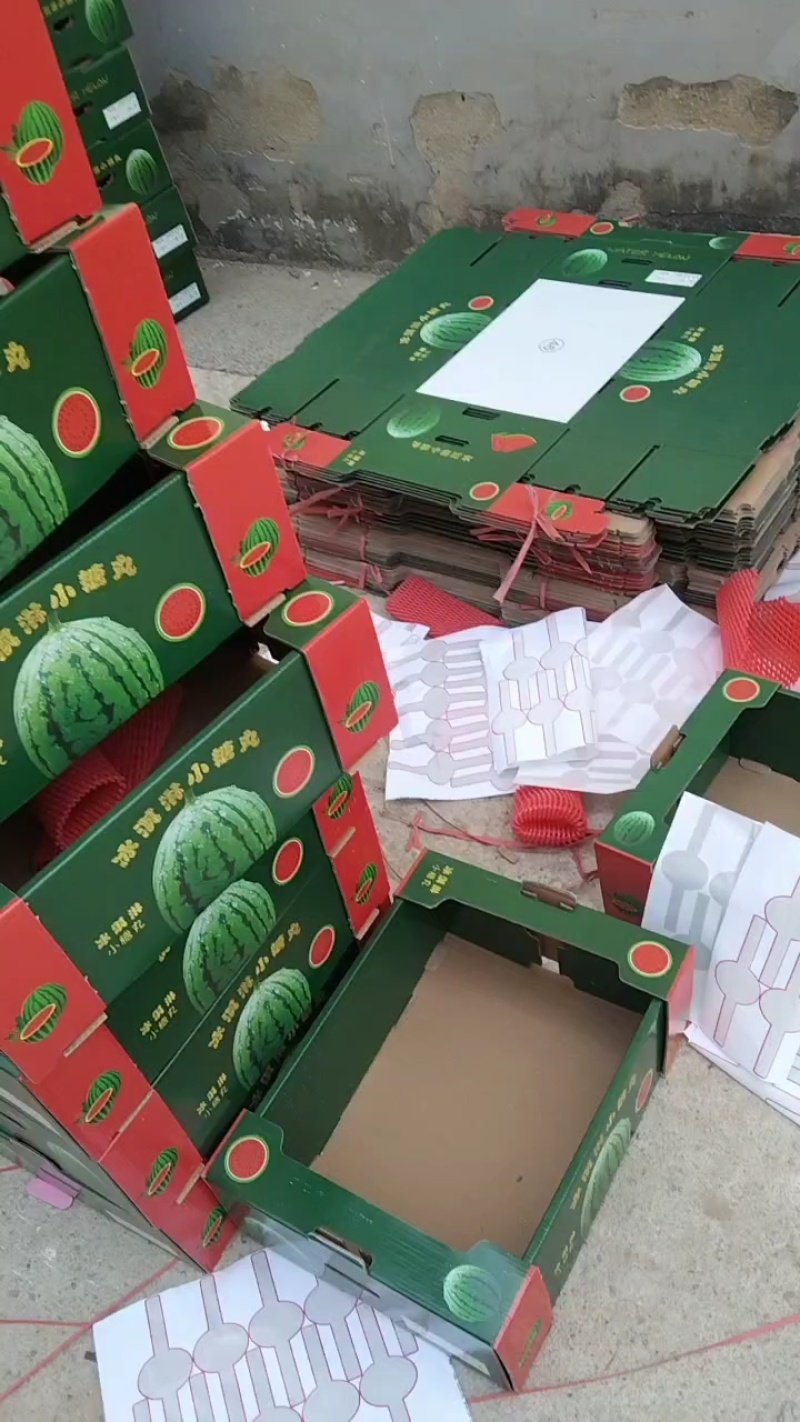 【早春红玉】小糖丸西瓜2k西瓜基地直供货源充足产地直发