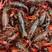 微山湖龙虾，清水虾，淡水虾，