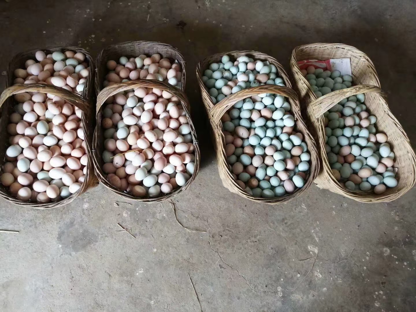 土鸡蛋包装与物流场景