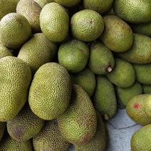 泰国水果产地直销一手货源批发干包菠萝蜜
