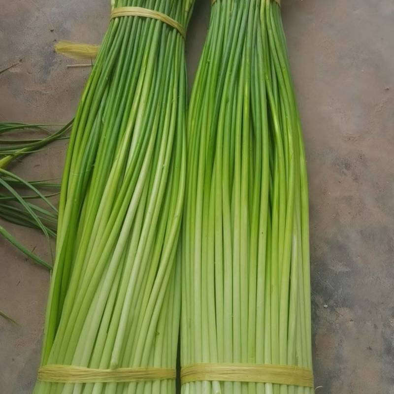 干台白帽，蒜苔