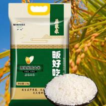 优质大米原浆米，大米，工厂直发一手货源，大量有货