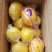四川安岳利錱果业/量大价优/可视频看货/欢迎下单