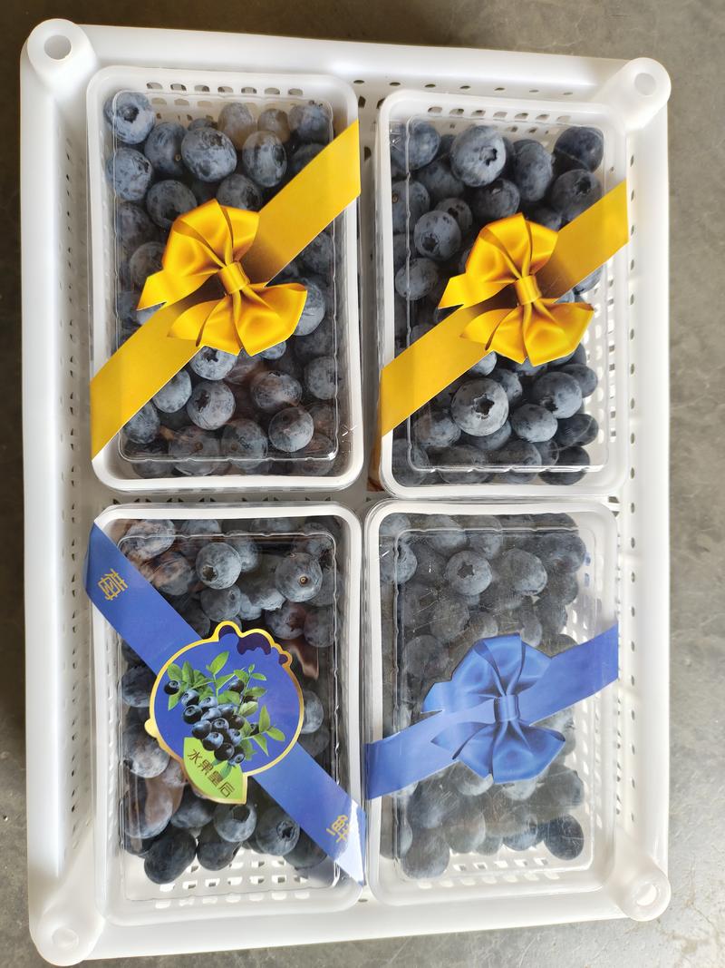 精品蓝莓框水果框货源充足量大从优质量保证欢迎咨询