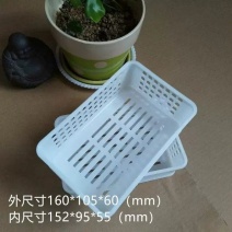 精品蓝莓框水果框货源充足量大从优质量保证欢迎咨询