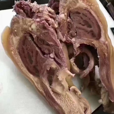 熟牛头肉