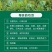 莓茶：学名（齿蛇葡萄藤）