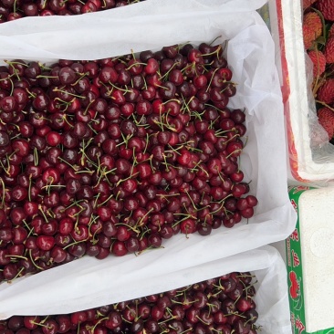 汶川车厘子产地直销五月份大量上市汶川车厘子🍒